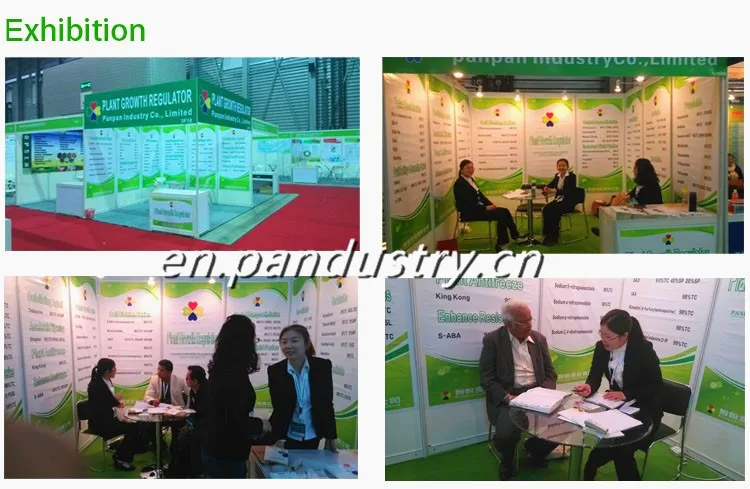 Агрохимический регулятор роста растений Paclobutrazol 95% TC 15%