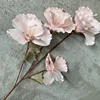 4 cabezas, No.2, rosa claro