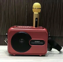 SD502/SD501 10W speaker Family KTV system Karaoke microphone