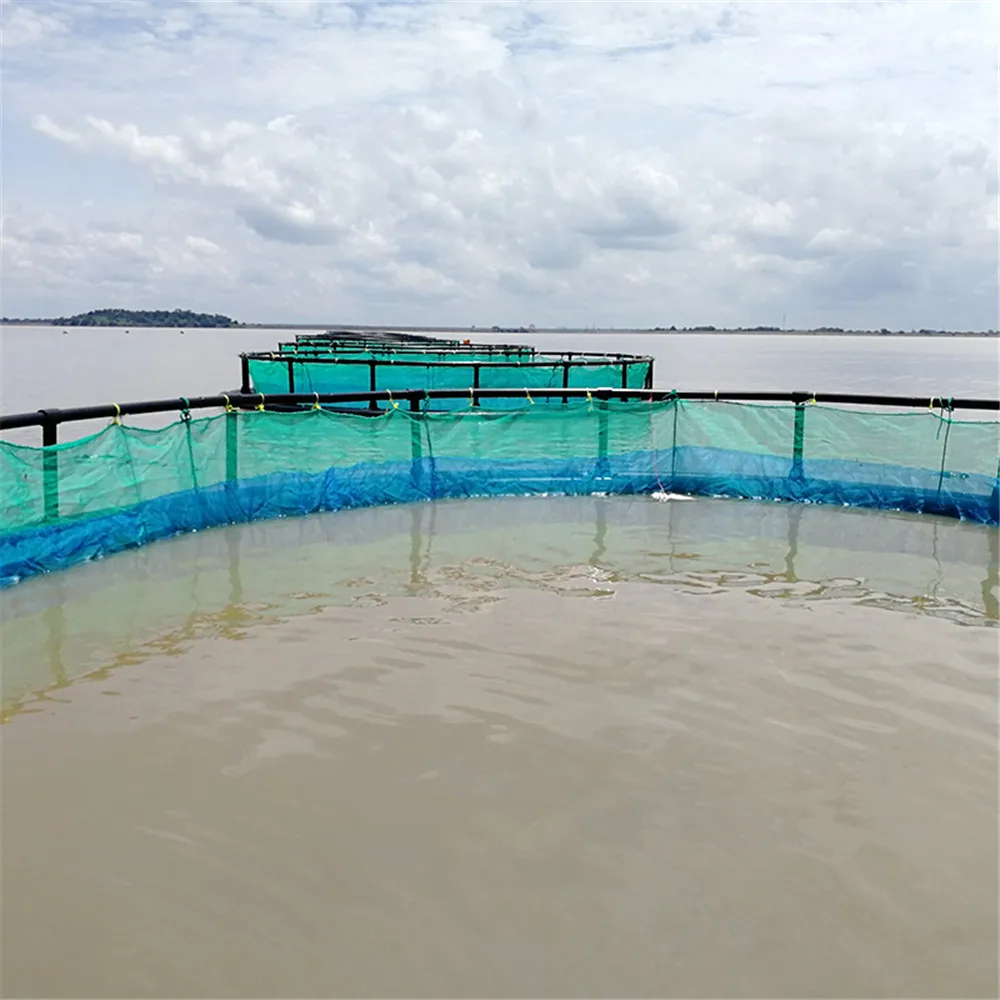 HDPE Floating Tilapia Fish Cages for Lake River Fish Farming Cage in Africa