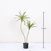 Miniature Agave Potted Plant 110cm