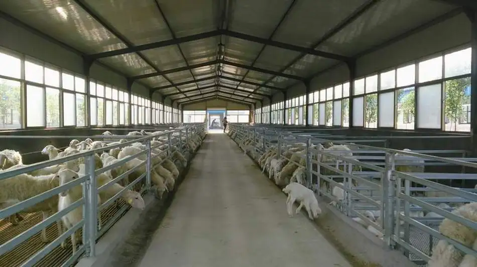 Metal Goat Farm Shed Design Steel Structure Sheep House Shelter