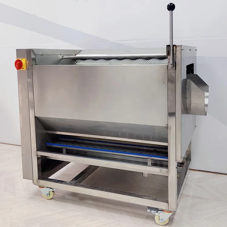 Commercial Root Vegetable Potato Cleaning Peeling Machine Ginger Washing and Peeling Machine