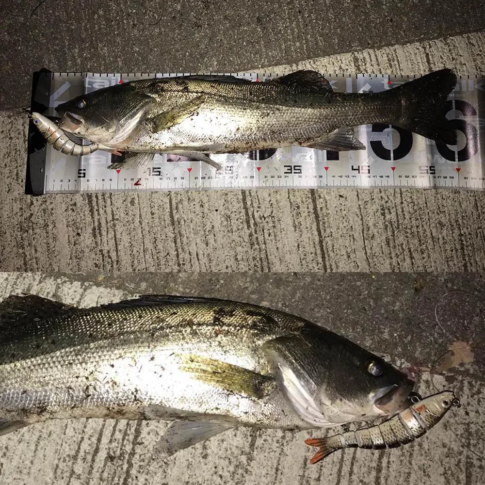 Wholesale Realistic Segmented Swim Bait Fishing Lures Combo Glide Bait