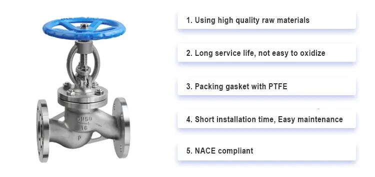 2 Way seal Cast Iron With Resilient 2 1/2 150 Wcb F888 Globe Valve