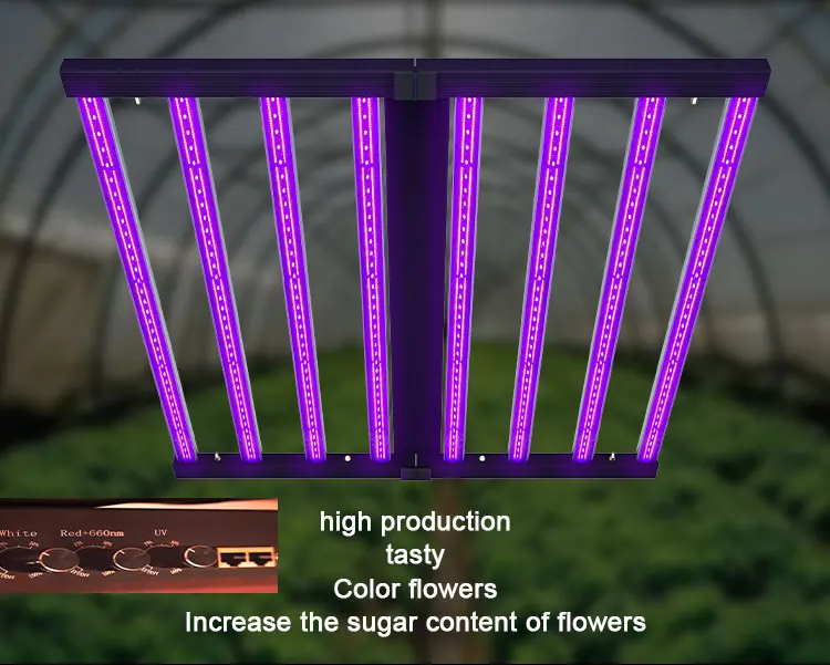 UV IR LED grow light optimizes indoor growing for success.