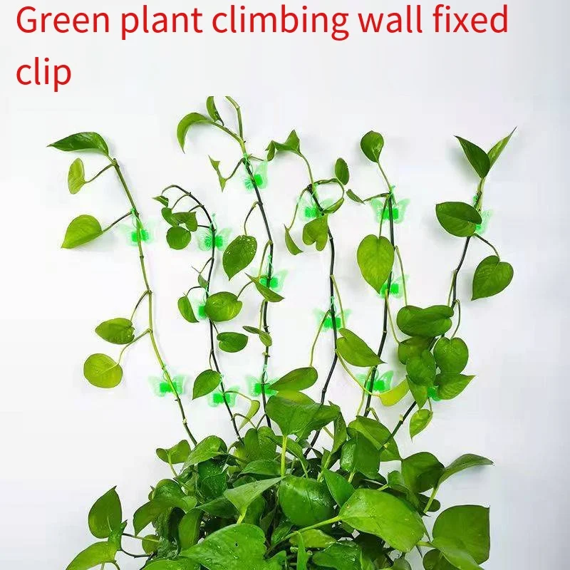 Butterfly green plant clip green plant climbing fixer wall climbing self-adhesive buckle nail-free climbing wall green plant supplier