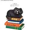 Lying book black cat