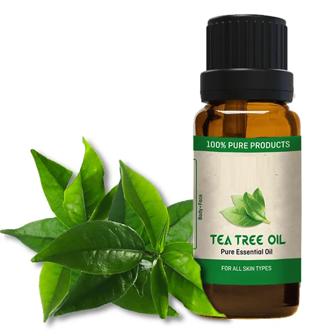 Эфирное масло чайного дерева. Аромамасло чайное дерево. Melaleuca alternifolia Oil. Siberina эфирное масло чайного дерева, мл. Масло черного чая