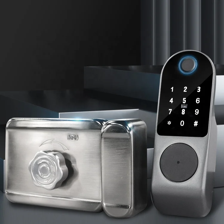 High Security Digital Smart Rim Lock Tuya TT Wifi Keyless Smart Door Lock Gate Deadbolt Smart Lock