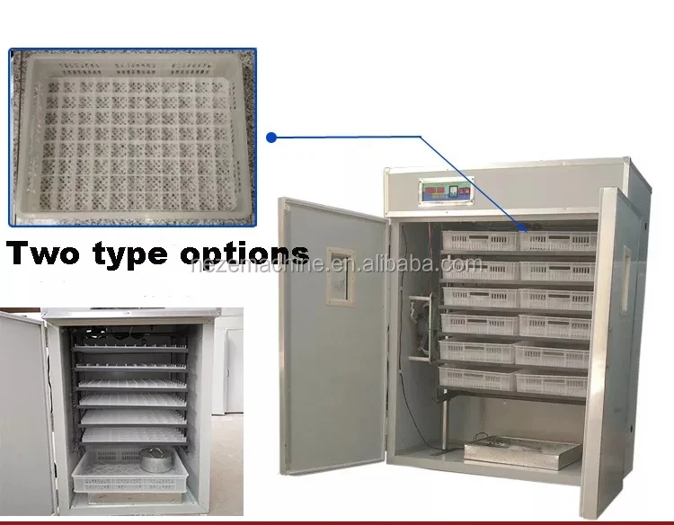 Egg Incubator.jpg