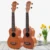 Paisen 21 Inch Sopraan Ukulele Tas Alle Massief Ukulele Bas Ukulele Kit