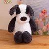 Seated Border Collie