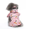 Pink + Dog