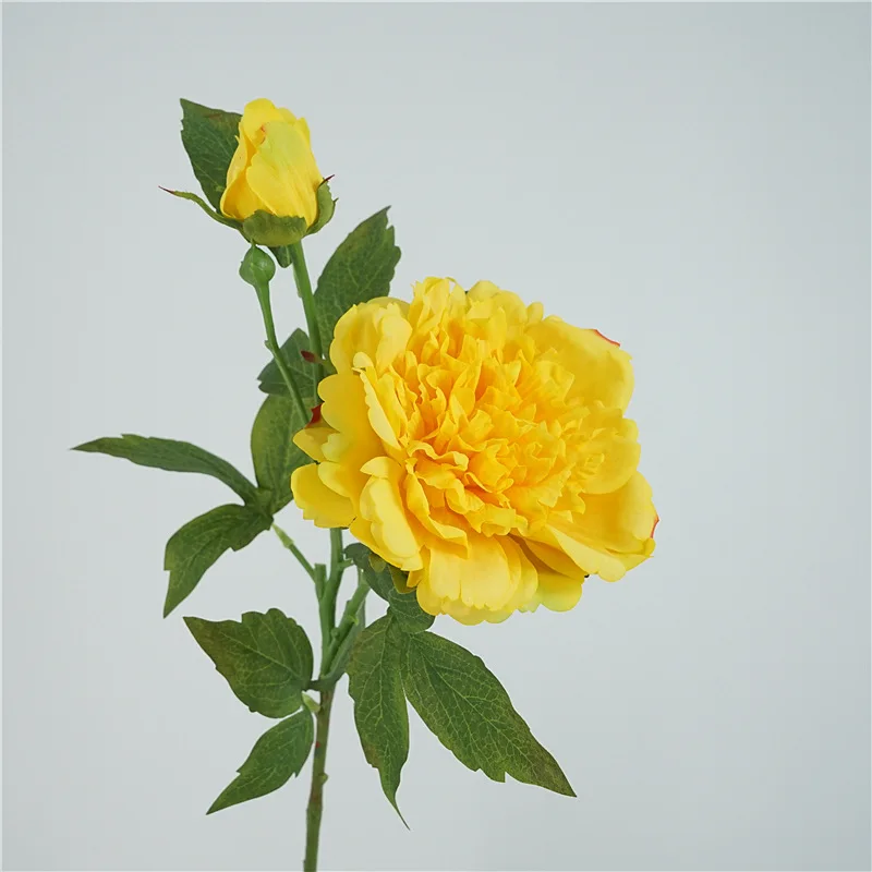 High End Wholesale Artificial Real Touch Peony 2 Heads With Bud Elegant