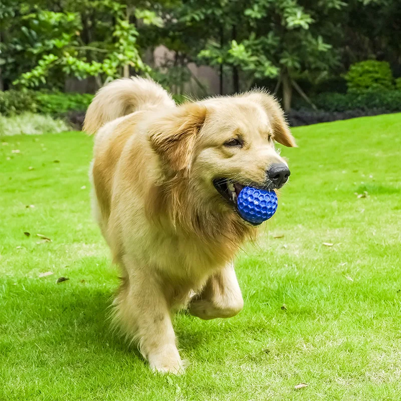 Pet Products Factory Spot Petsfond Explosion Cross Border Bite Resistant Interactive Throwing Dog Toys