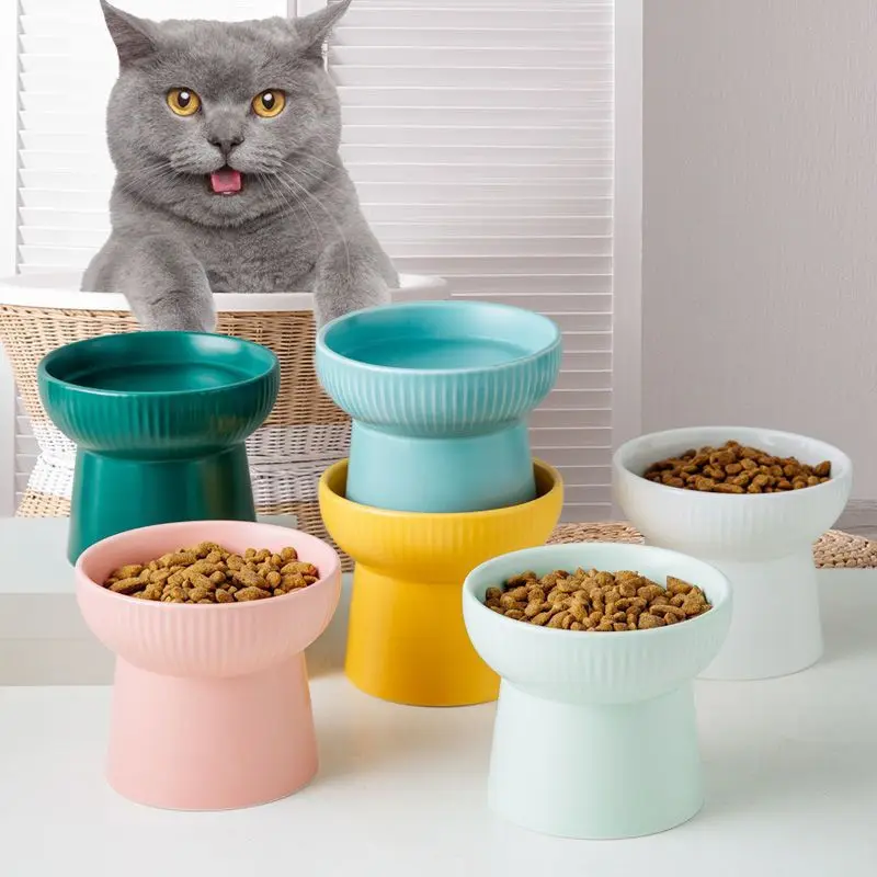 Factory Custom Cat Pet Bowl Extra Wide Raised Tilted Cat Food Bowl
