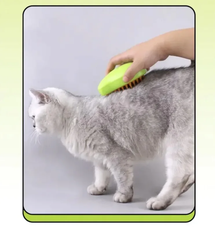 Handheld Hair Steamer With Pet Spray Massage Comb For Removing Tangled