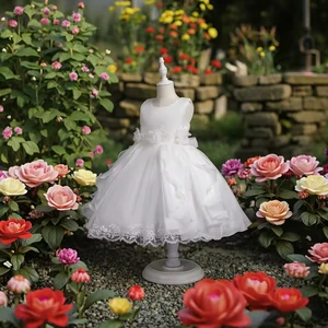 European Style Girl Wedding Dress for Kids Lovely Birthday Party Tutu Dresses for Girls 2-12 Years Old Sleeveless