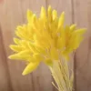 Couleur jaune