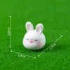 5 rabbit-ear hairstyle