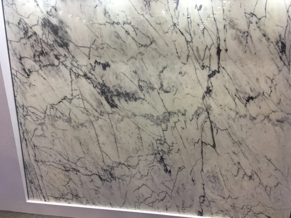 Hot Sale Natural Moroccan Fossil Marble With Low Price