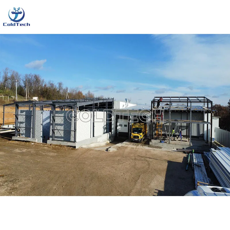 Cold Storage Walk in Freezer Cold Room Refrigeration for Fruits and Vegetables