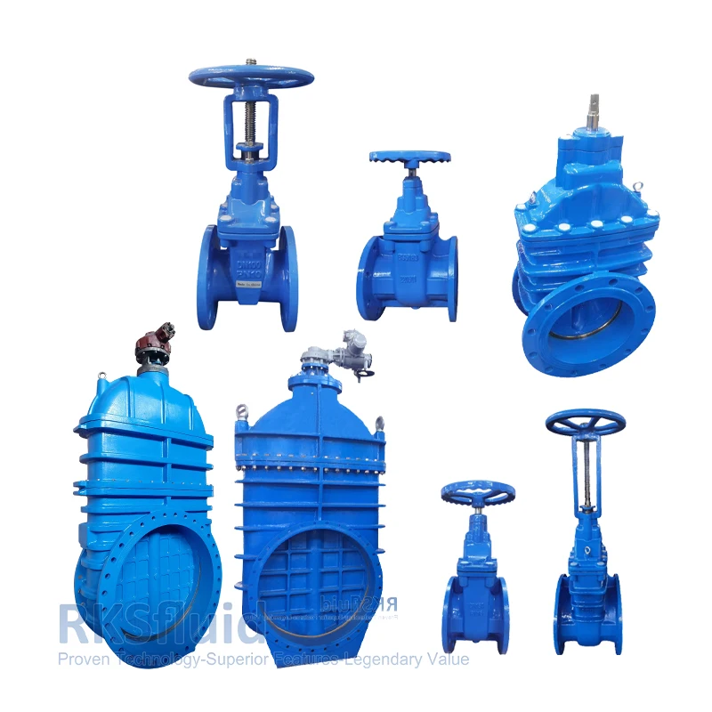 Factory Customizable BS5163 Gate Valve Ductile Cast Iron Metal Seated ...