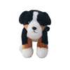 Bernese Mountain Dog