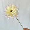 Borde rosa
