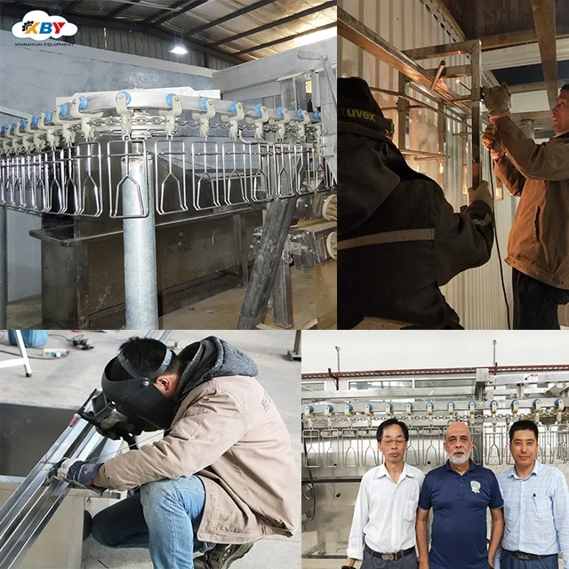 Halal Complete Chicken Turkey Slaughter Line/duck Butcher/poultry Butcher Machine to Use