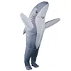 Gris requin