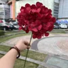 grand hortensia américain à une tête rouge