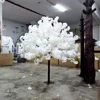 Bianco 4