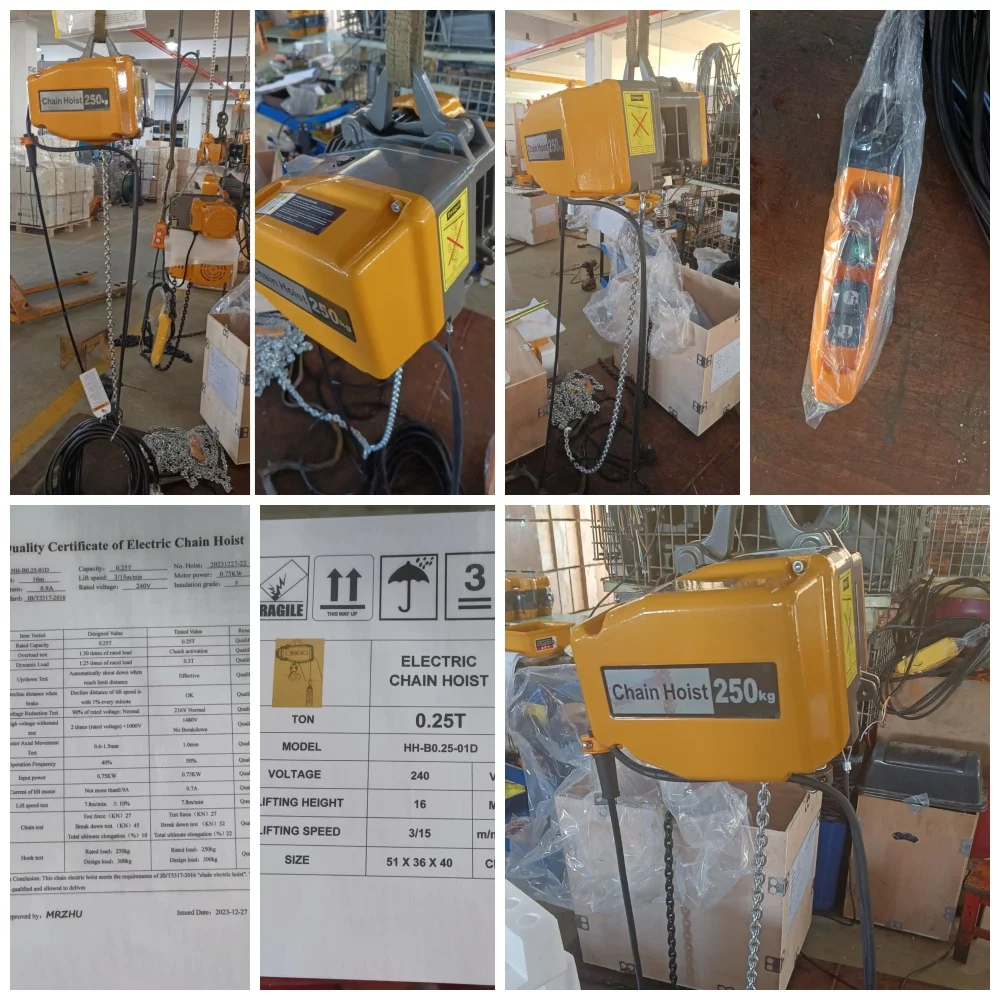 EQ Series Fixed Type Motorized Trolley Type Electric Chain Hoist 150kg 250kg 500kg 1t 2t Electric Hoist with Clutch for Workshop