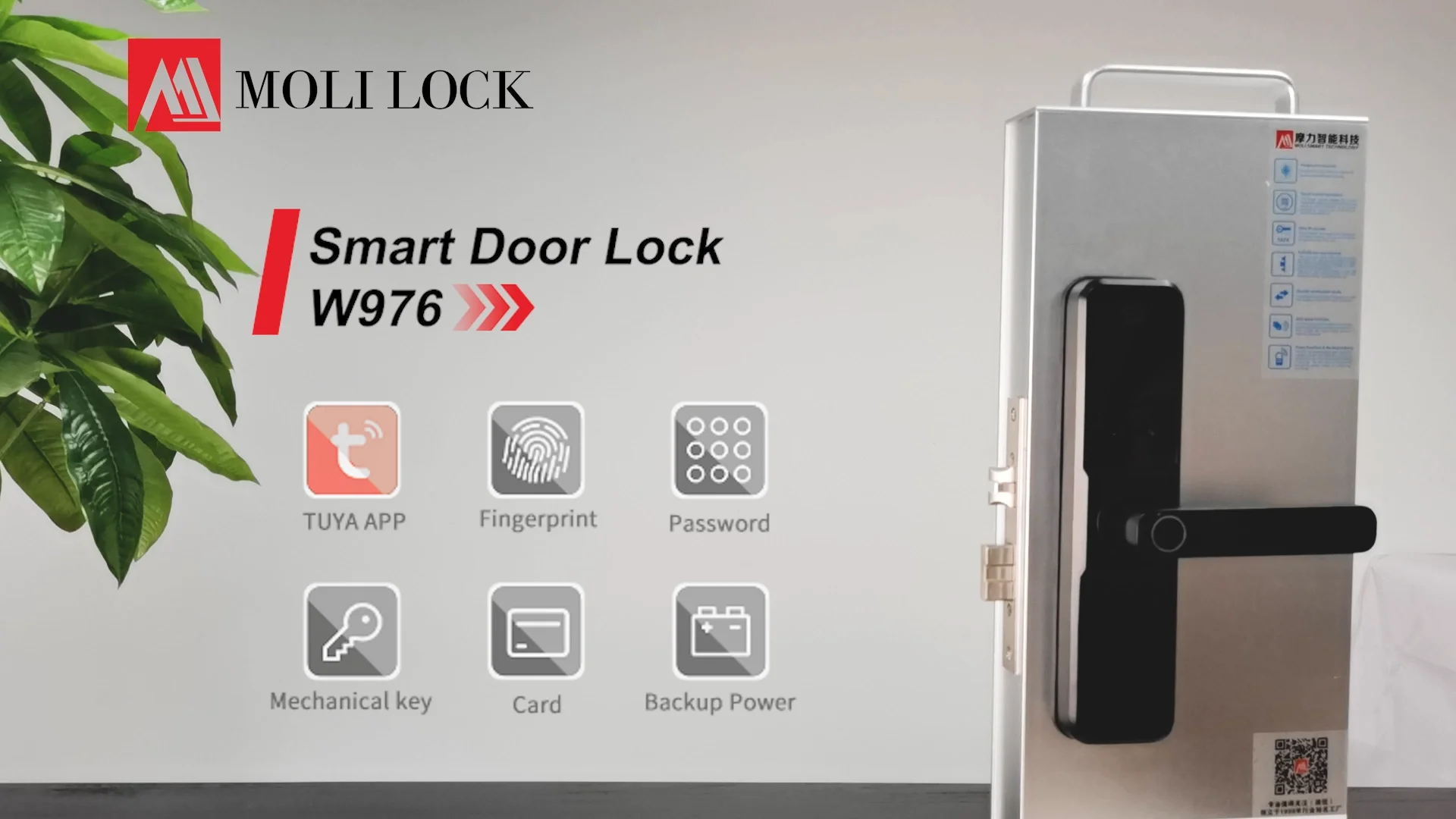 Tuya Appcontrolled Door Lock Smart Key Card Biometric Fingerprint
