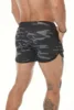 Gris del CAMO