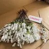 # 1 bianco