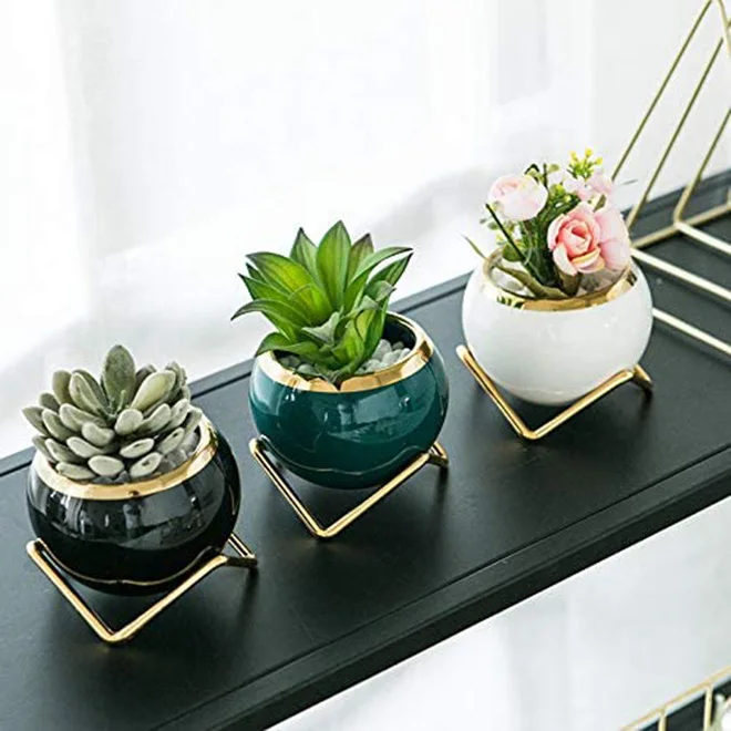 Wholesale Small Succulent Planter Pots - Ceramic with Gold Trims