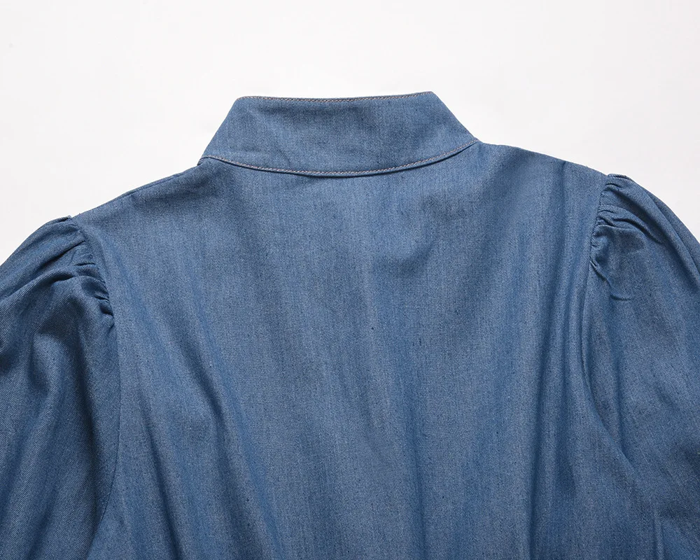 New Arrival Elegant Long Sleeve Denim Dress for Ladies Plus Size Women's Clothing
