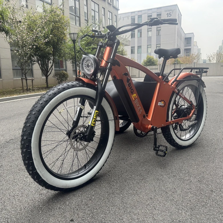 E Bike Side Car Adult Electric Tricycle with 750w Motor