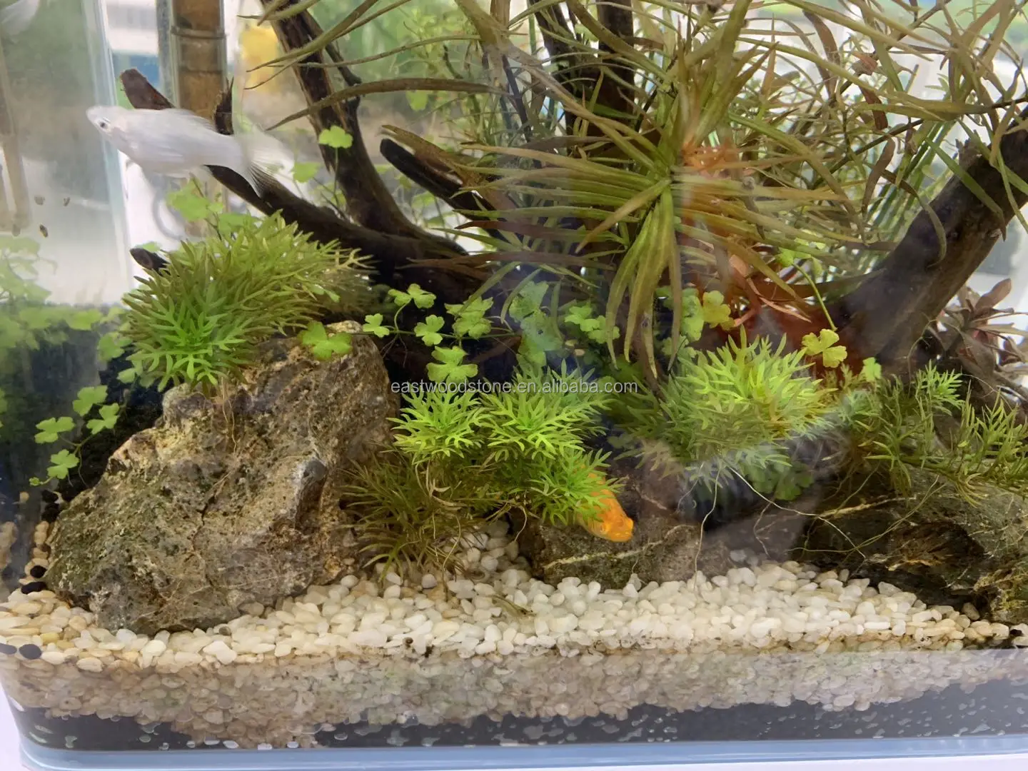 Spider Wood Hamiledyi Driftwood For Aquarium Wood Natural Trunk Reptile Branches Tree Fish Tank Plant Stump Ornament Decor(L: 7.5"-11.5 Branches For Reptiles