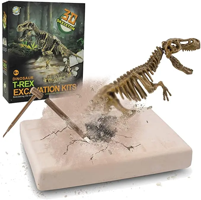 Dinosaur Skeleton 3D Dino Fossil Bones Excavation Science Kit Dig