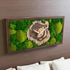 Reloj de pared de musgo