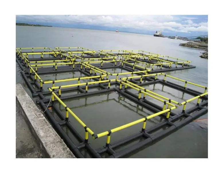 Square Cage 6X6m for Fish Farming in The Sea - China Sea Cage, Fish Cage