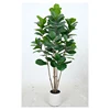 OHPC385-210A- Green