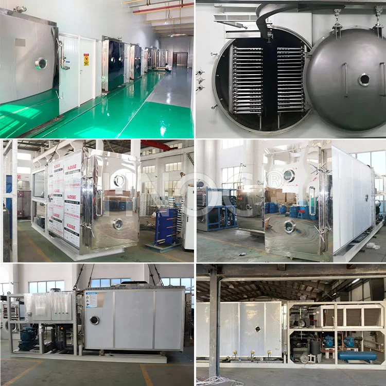 HNOC Fruit Freeze Dry Machine Mini Vacuum Freeze Dryer Harvest Right Lyophilization Machine for Sale