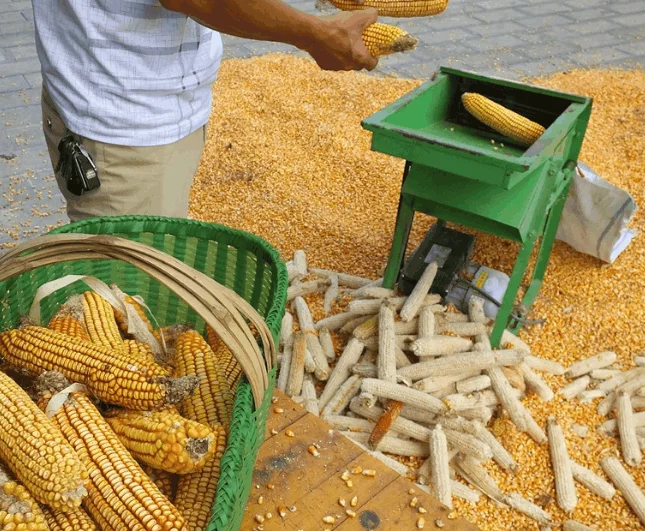 Full Automatic Maize Corn Threshing And Corn Harvester Machine Farm Using Corn Grinder Machine