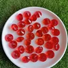 Rojo-YT034
