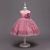 AL0006-pink